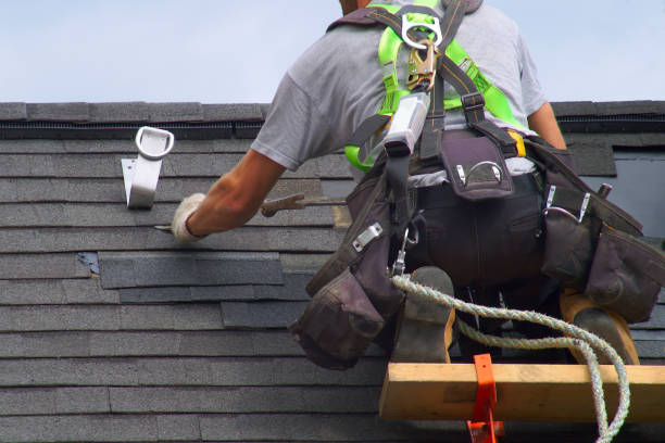 Best Storm Damage Roof Repair  in Johnsburg, IL