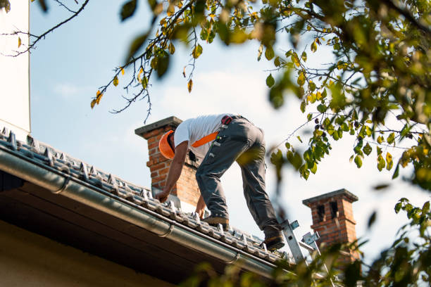 Best Sealant for Roof  in Johnsburg, IL