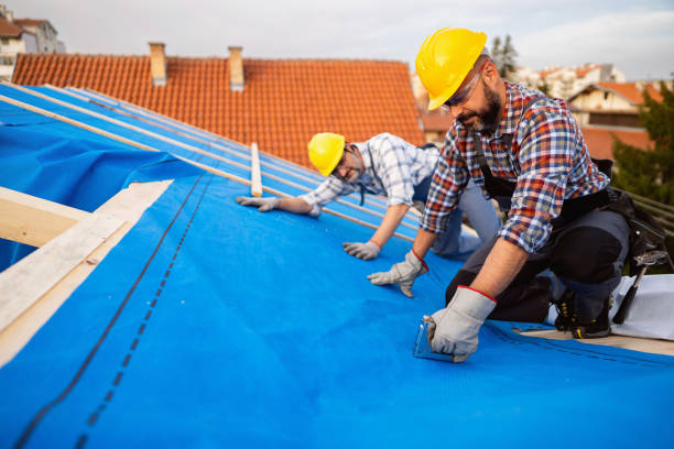 Best Roof Repair Services  in Johnsburg, IL