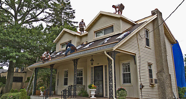 Best Metal Roofing Contractor  in Johnsburg, IL